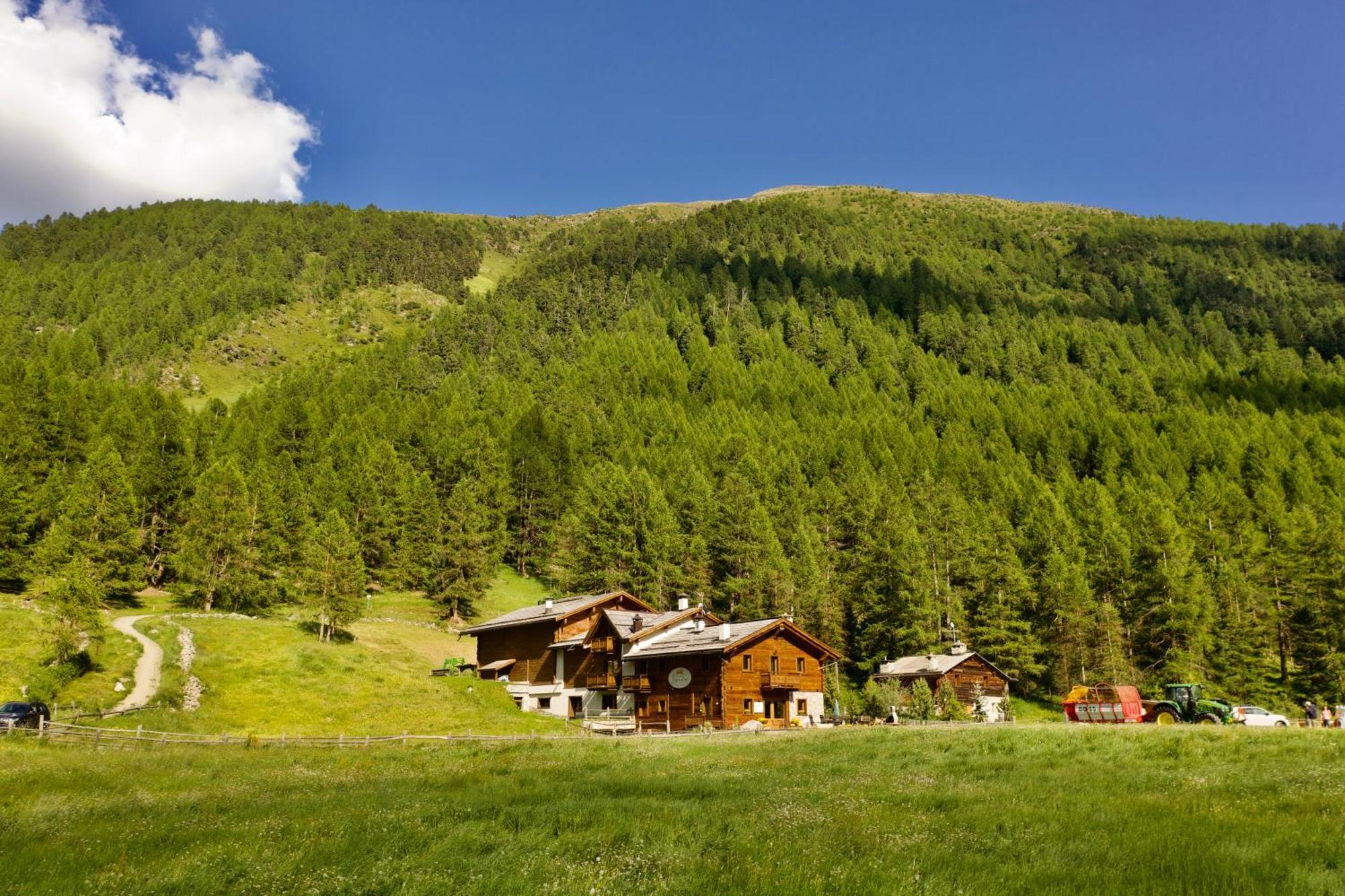 Agriturismo Bosco D'Oro Livigno Zewnętrze zdjęcie